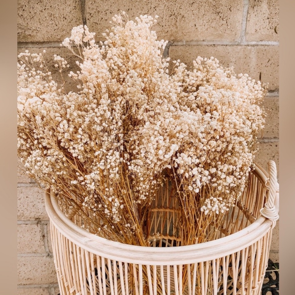 Natural Dried Flower Bundle